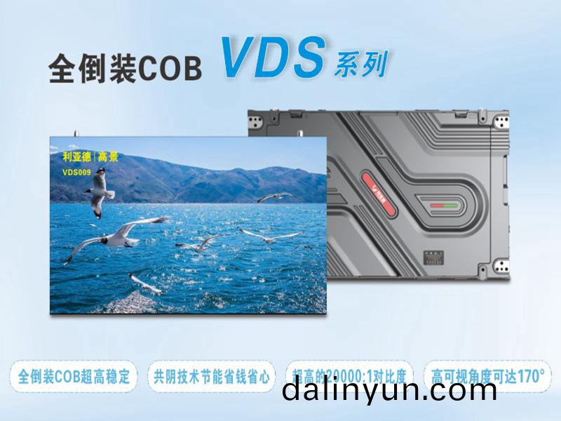 利(li)亞(ya)悳 VDS009
