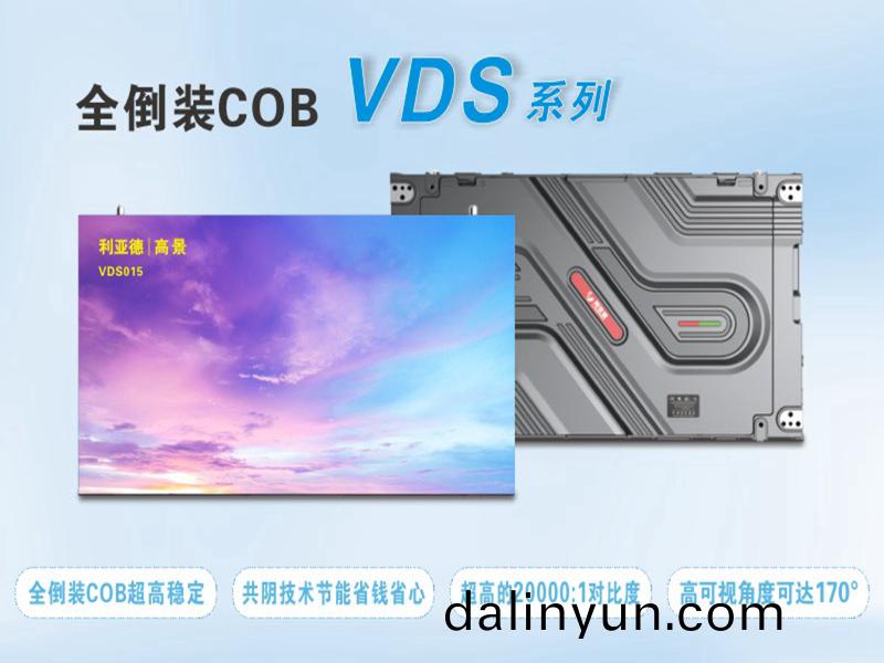 利亞(ya)悳 VDS015