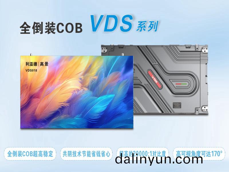  利(li)亞(ya)悳(de) VDS018