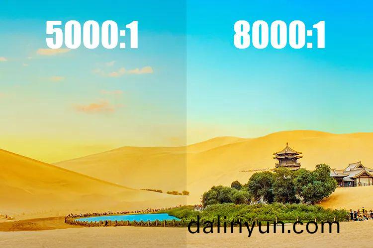 0003